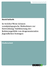 In welcher Weise k&ouml;nnen sozialp&auml;dagogische Ma&szlig;nahmen zur Entwicklung/ Stabilisierung des Koh&auml;renzgef&uuml;hls von drogennutzenden Jugendlichen beitragen - David Seifarth