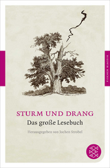Sturm und Drang - 
