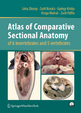 Atlas of Comparative Sectional Anatomy of 6 invertebrates and 5 vertebrates - G&eacute;za Zboray, Zsolt Kov&aacute;cs, Gy&ouml;rgy Kriska, Kinga Moln&aacute;r, Zsolt P&aacute;lfia