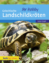 Griechische Landschildkr&ouml;ten - Rainer Zirngibl