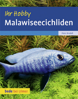 Malawiseecichliden - Peter Bredell