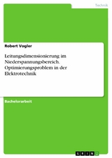 Leitungsdimensionierung im  Niederspannungsbereich. Optimierungsproblem in der Elektrotechnik - Robert Vogler