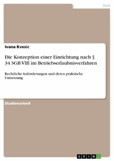 Die Konzeption einer Einrichtung nach &sect; 34 SGB VIII im Betriebserlaubnisverfahren - Ivana Kvesic