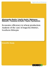 Economic efficiency in wheat production. Analysis of the case of Angecha District, Southern Ethiopia - Alemayehu Bashe, Asefa Ayele, Matewos Matselo, Tessema Erchafo, Seyfu T/yohannes