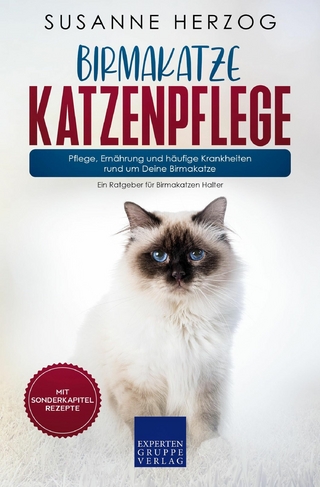 Birmakatze Katzenpflege – Pflege, Ernährung und häufige Krankheiten rund um Deine Birmakatze