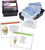 Anatomie Lernkarten menschliches Skelett - Oberdieck, Christoph