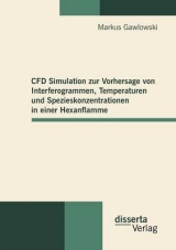 CFD Simulation zur Vorhersage von Interferogrammen, Temperaturen und Spezieskonzentrationen in einer Hexanflamme - Markus Gawlowski