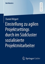 Einstellung zu agilen Projektsettings durch im S&uuml;dcluster sozialisierte Projektmitarbeiter - Daniel Hilgert