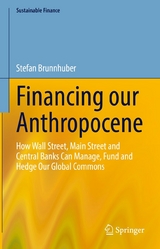 Financing our Anthropocene - Stefan Brunnhuber