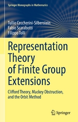 Representation Theory of Finite Group Extensions - Tullio Ceccherini-Silberstein, Fabio Scarabotti, Filippo Tolli