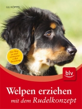 Welpen erziehen mit dem Rudelkonzept - Uli K&ouml;ppel