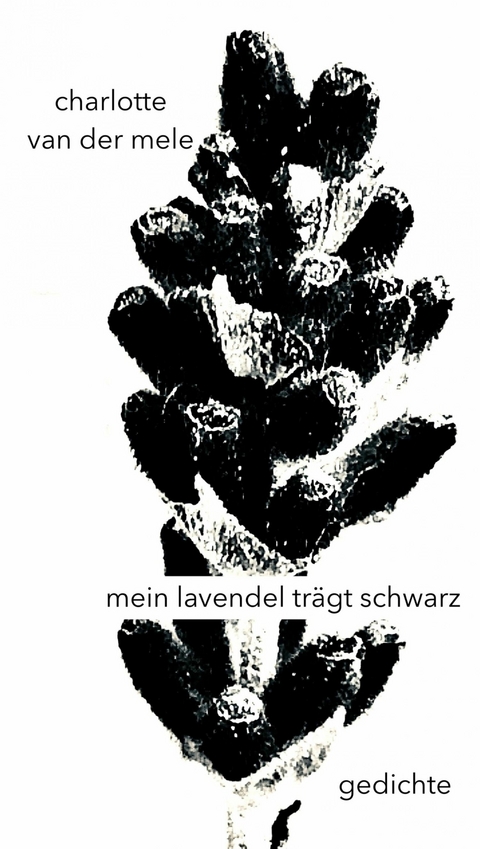 mein lavendel tr&auml;gt schwarz - charlotte van der mele