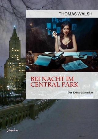 BEI NACHT IM CENTRAL PARK