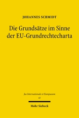 Die Grunds&auml;tze im Sinne der EU-Grundrechtecharta - Johannes Schmidt