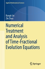 Numerical Treatment and Analysis of Time-Fractional Evolution Equations -  Bangti Jin,  Zhi Zhou