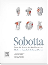 Sobotta Tabellen zu Muskeln, Gelenken und Nerven - Paulsen, Friedrich; Waschke, Jens