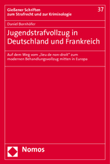 Jugendstrafvollzug in Deutschland und Frankreich - Daniel Bornh&ouml;fer