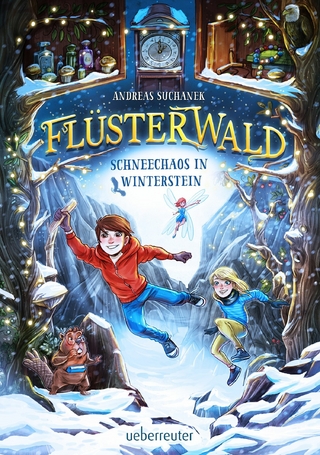 Flüsterwald - Schneechaos in Winterstein (kostenlose  Kurzgeschichte)