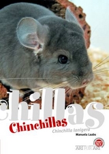 Chinchillas - Manuela Laabs