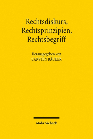 Rechtsdiskurs, Rechtsprinzipien, Rechtsbegriff