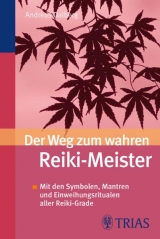 Der Weg zum wahren Reiki-Meister - Andreas Dalberg