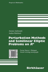 Perturbation Methods and Semilinear Elliptic Problems on R^n - Antonio Ambrosetti, Andrea Malchiodi
