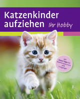 Katzenkinder aufziehen - Mark Evans