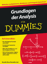 Grundlagen der Analysis f&uuml;r Dummies - Krystle Rose Forseth, Christopher Burger, Michelle Rose Gilman, Deborah J. Rumsey, Mark Ryan