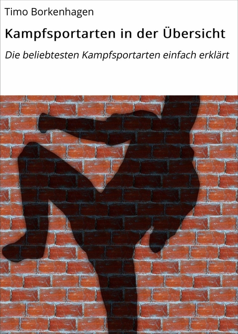 Kampfsportarten in der Übersicht -  Timo Borkenhagen