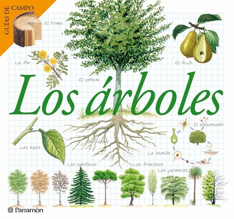 Los árboles - Maria Àngels Julivert