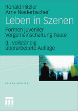 Leben in Szenen - Ronald Hitzler, Arne Niederbacher