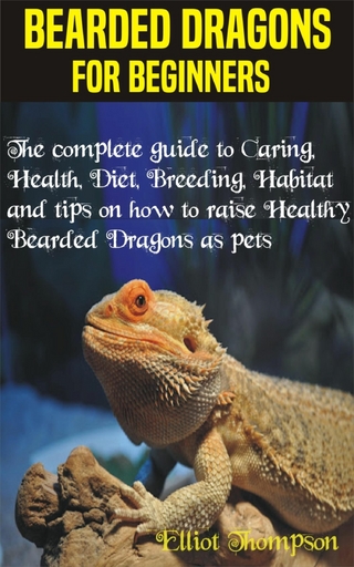 Bearded Dragons for Beginners