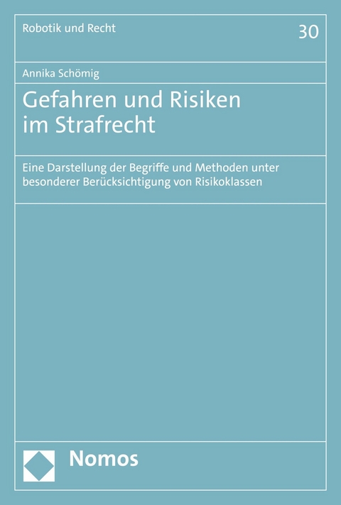 Gefahren und Risiken im Strafrecht - Annika Sch&ouml;mig
