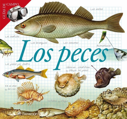 Los peces - Maria Àngels Julivert