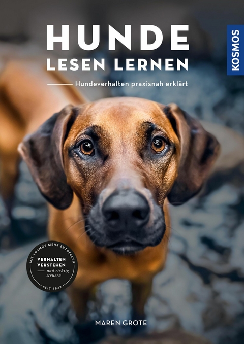 Hunde lesen lernen - Maren Grote