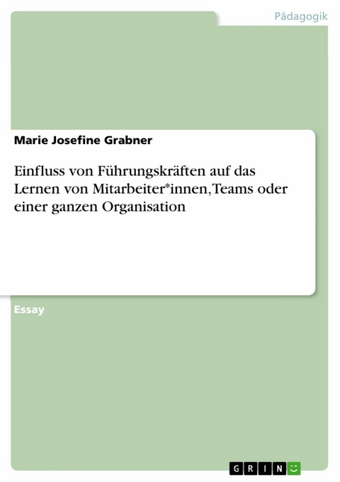 Einfluss von Führungskräften auf das Lernen von Mitarbeiter*innen, Teams oder einer ganzen Organisation - Marie Josefine Grabner