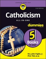 Catholicism All-in-One For Dummies - John Trigilio, Kenneth Brighenti, James Cafone, Jonathan Toborowsky, Annie Sullivan