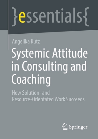 Systemic Attitude in Consulting and Coaching