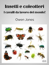 Insetti E Coleotteri -  Owen Jones
