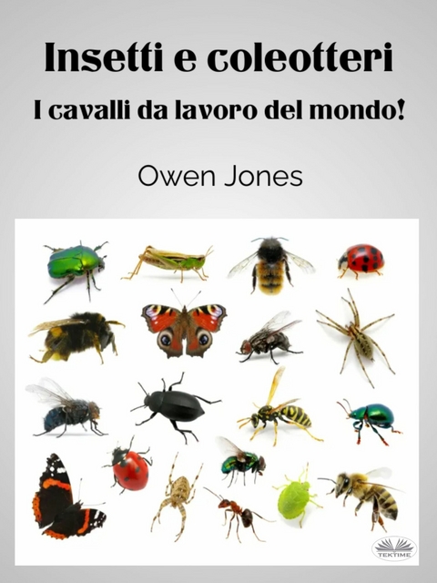 Insetti E Coleotteri -  Owen Jones