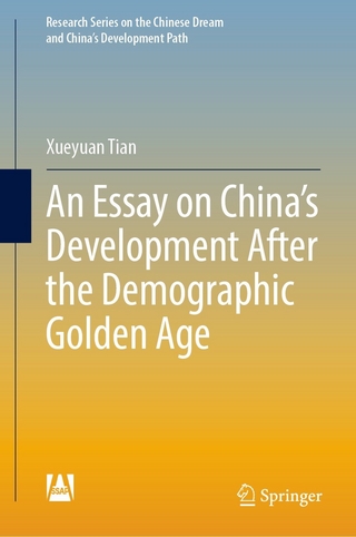 Essay on China's Development After the Demographic Golden Age