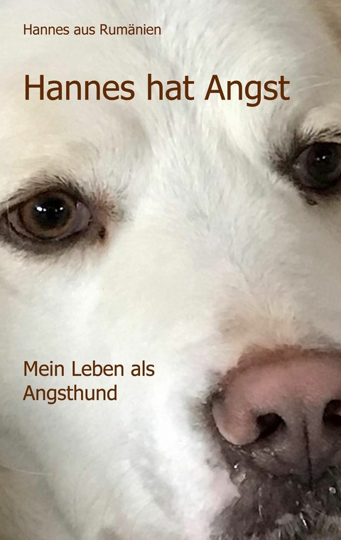 Hannes hat Angst -  Hannes aus Rum&auml;nien