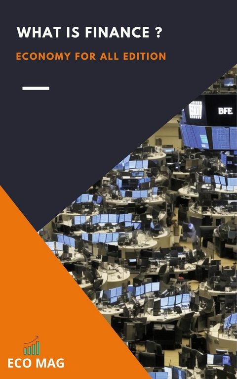 What is finance? -  eco mag