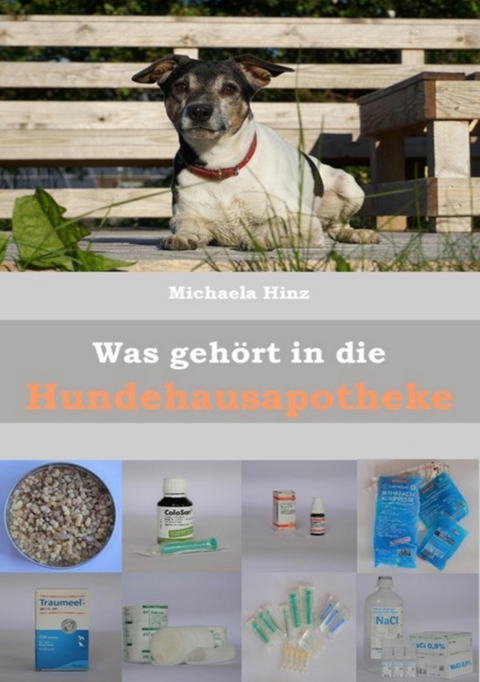 Was geh&ouml;rt in die Hundehausaportheke -  Michaela Hinz
