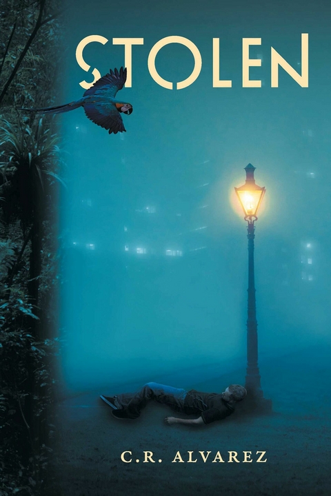 Stolen -  C.R. Alvarez