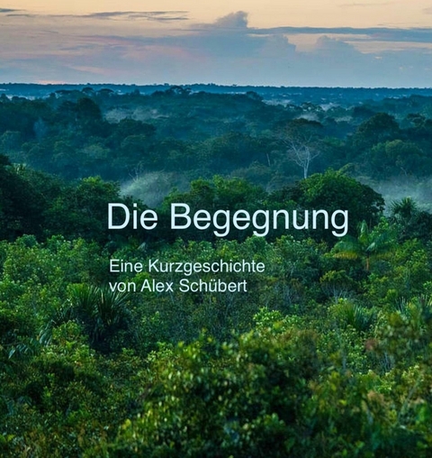 Die Begegnung - Alex Schuebert