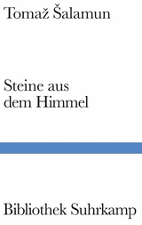 Steine aus dem Himmel - Tomaž &Scaron;alamun