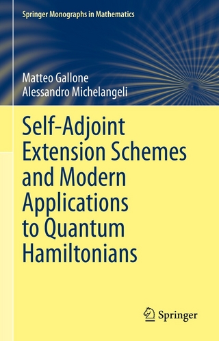 Self-Adjoint Extension Schemes and Modern Applications to Quantum Hamiltonians