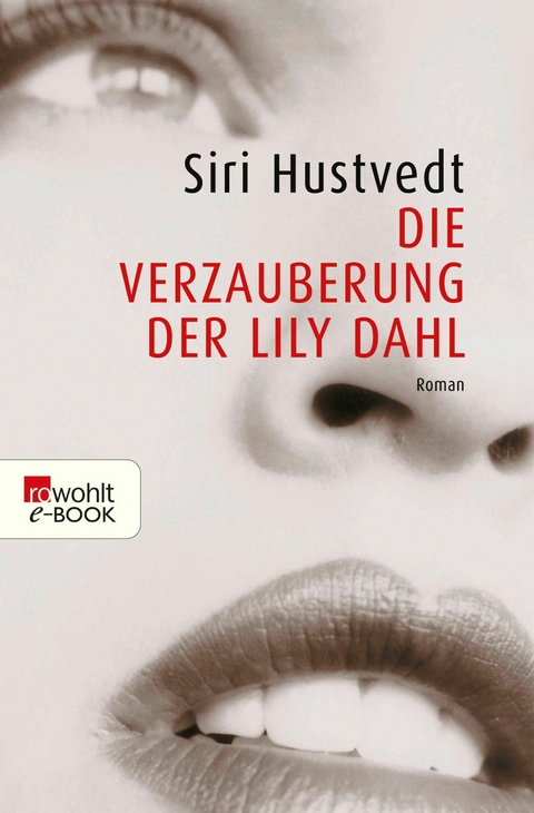 Die Verzauberung der Lily Dahl - Siri Hustvedt