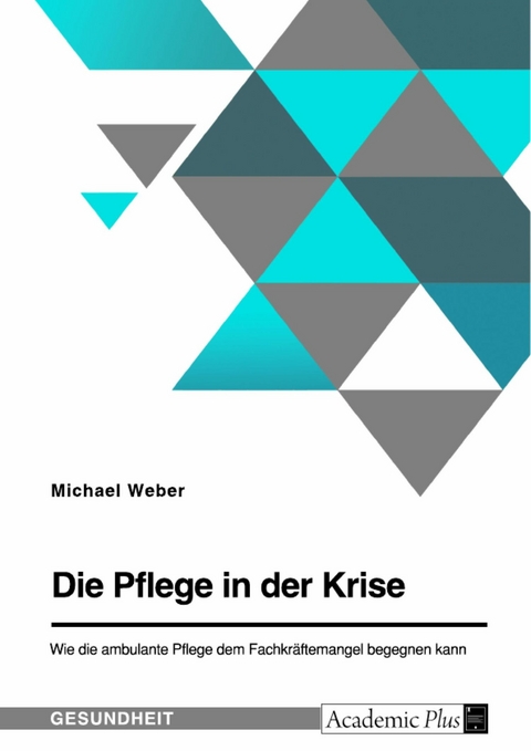 Die Pflege in der Krise. Wie die ambulante Pflege dem Fachkr&auml;ftemangel begegnen kann -  Michael Weber
